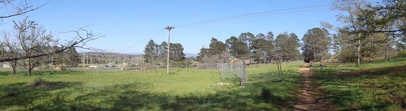 Dudley Street walking track